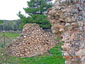 View of the ruins of the church of Hagioi Apostoloi in Old Oropos. (Photograph: Chr. Kontogeorgopoulou)